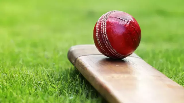 Overcoming adversity & challenges and converting them to opportunity: A Cricket Analyst’s journey