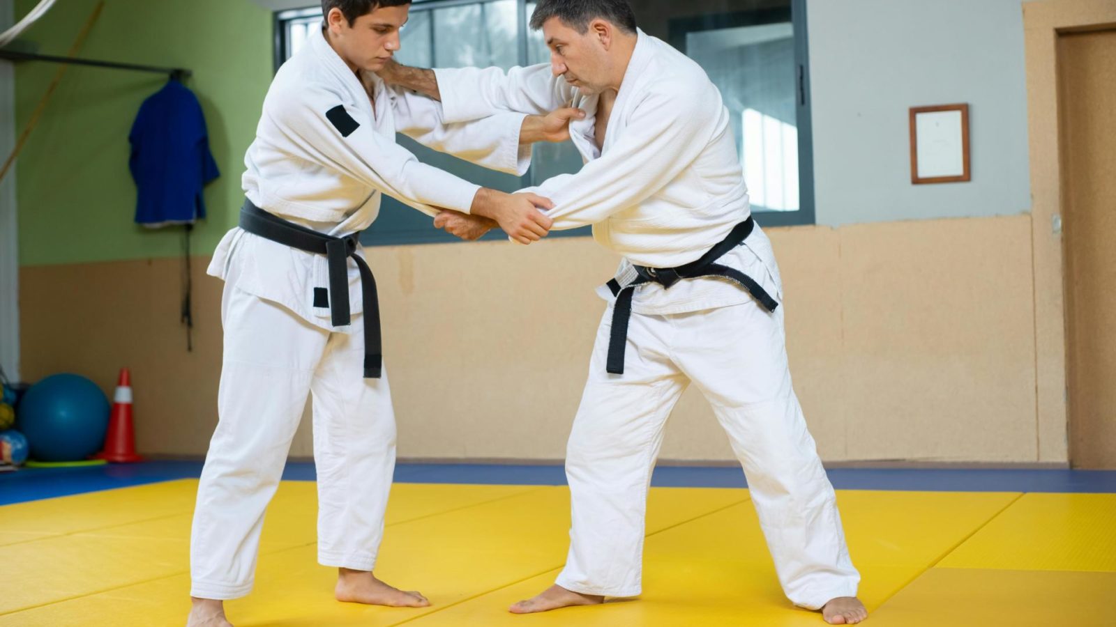 judo karate