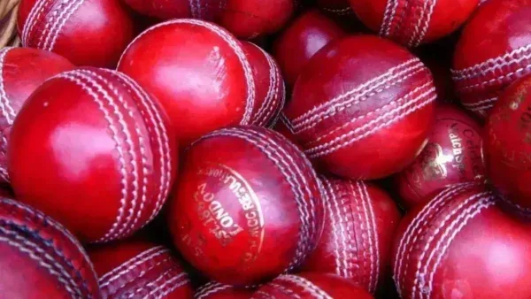Cricket