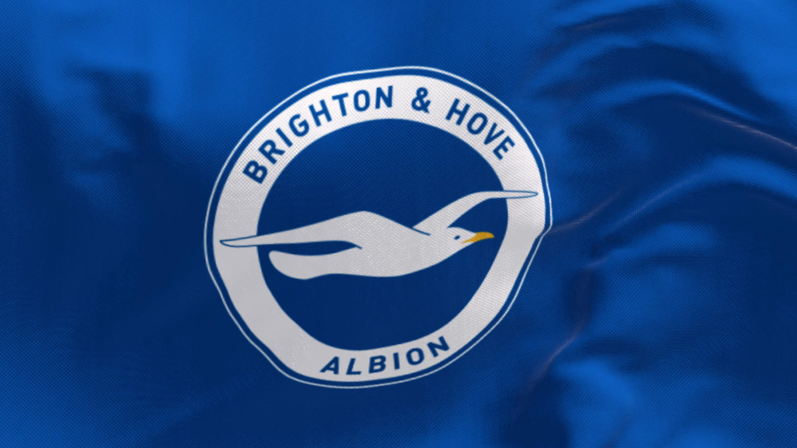 Close up of Brighton football club flag waving