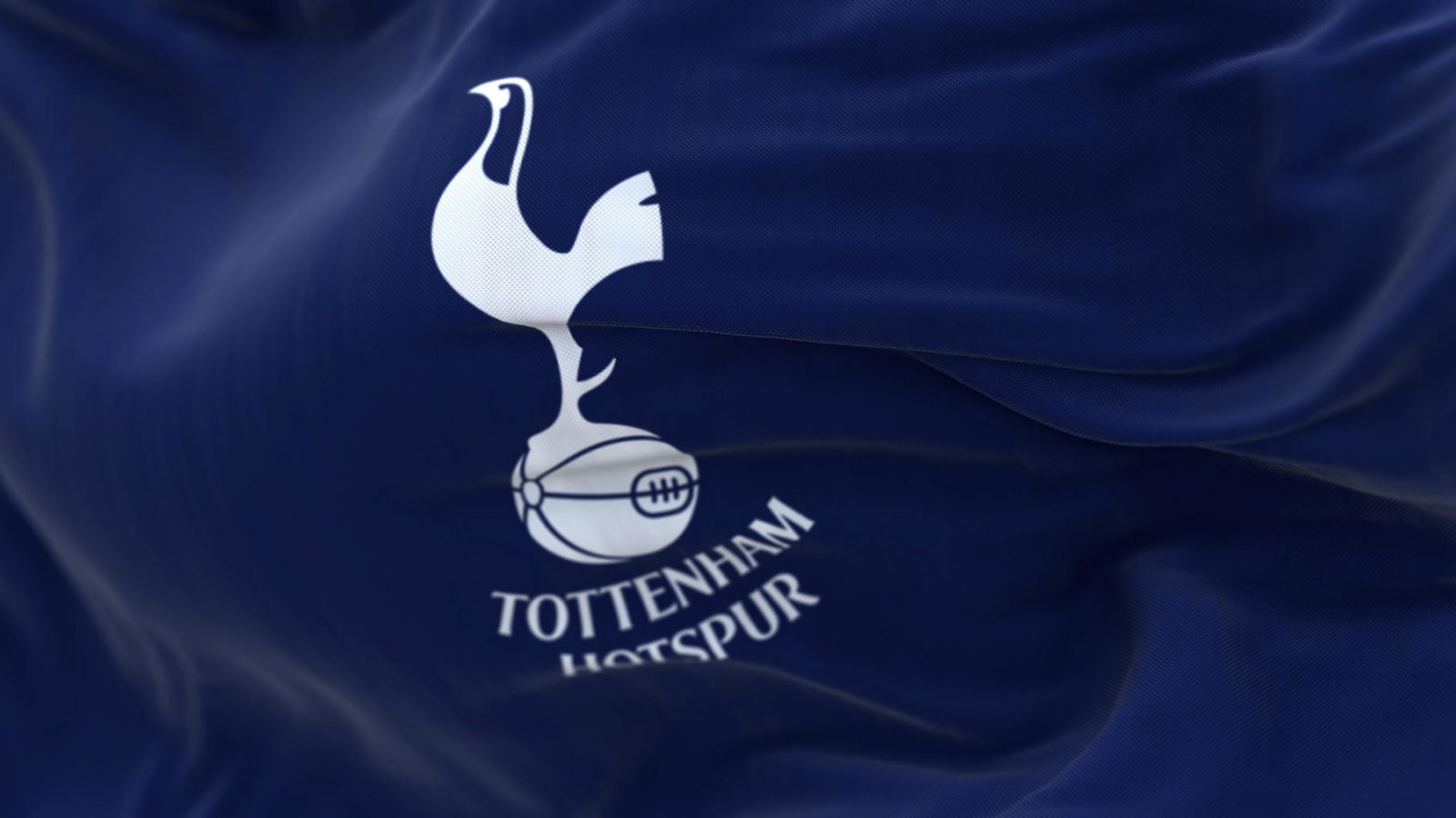 Detail of the Tottenham Hotspur flag waving