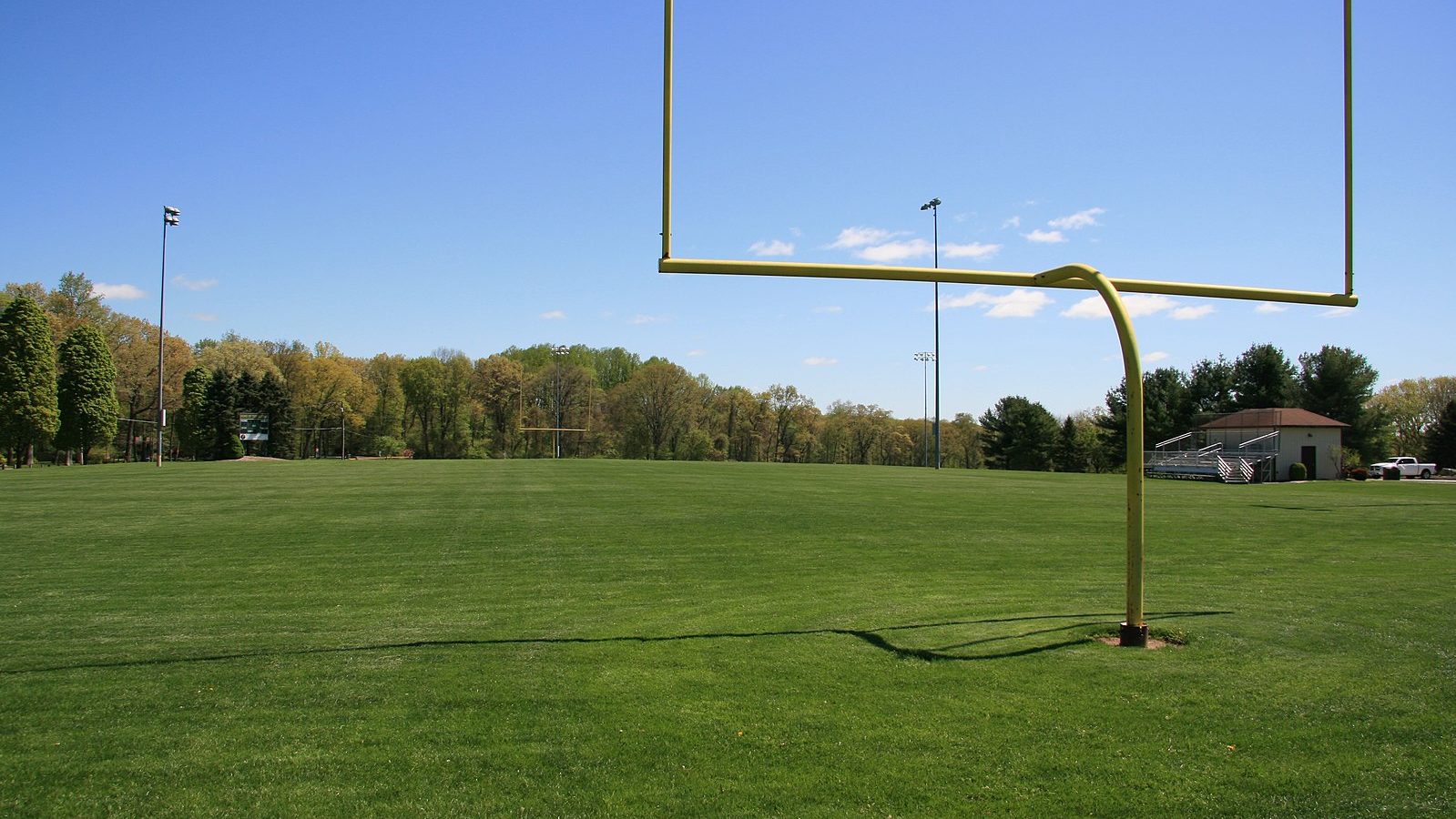 Rugby For The NFL: Disover Louis Rees-Zammit Switchover