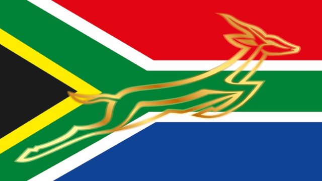 Pieter-Steph du Toit's Impact: RWC Triumph Unites South Africa