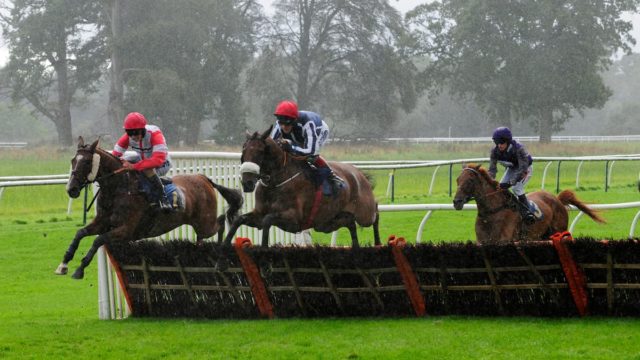 National Hunt enthusiasts on both sides of the Irish Sea are excitedly ticking off the days until the 2024 Cheltenham Festival.