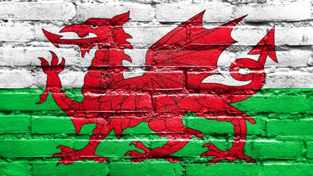Rhian Wilkinson Named New Wales Women’s Manager