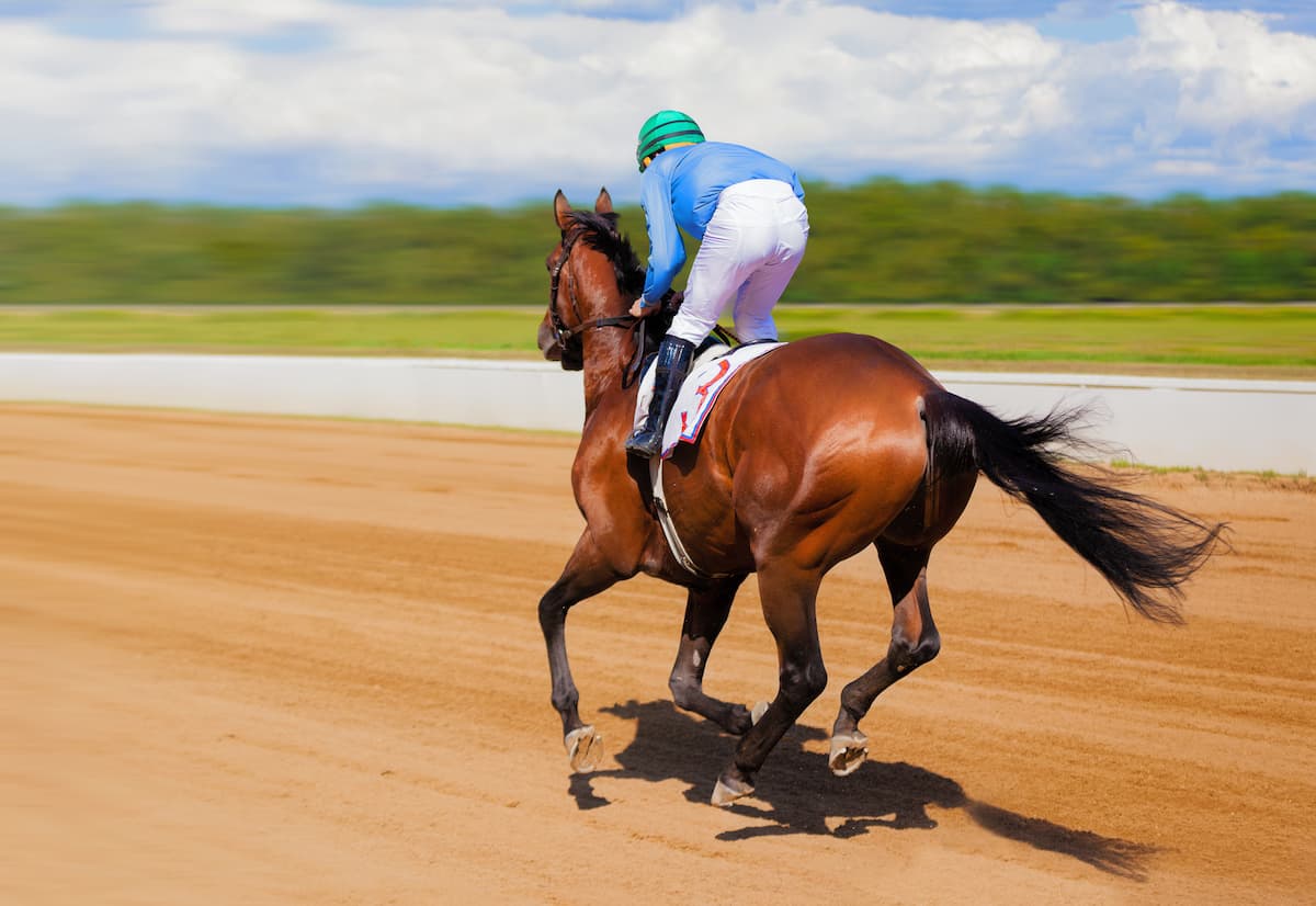 The Saudi Cup is the richest horse race in the world. Which horse is going to win the 2024 race at Riyadh this Saturday?