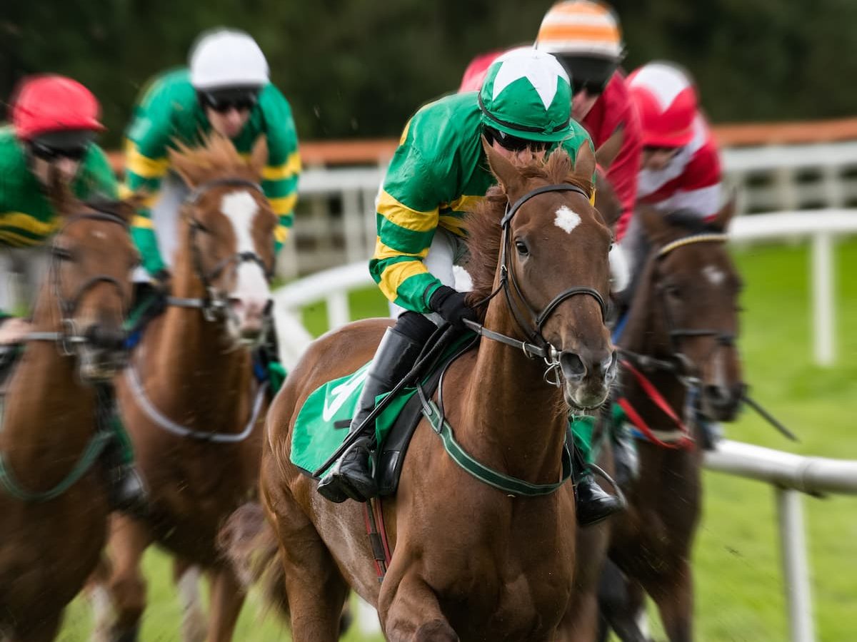 The 2024 Cheltenham Festival gets underway at Prestbury Park this Tuesday. Will Willie Mullins and the Irish be partying at Prestbury Park?
