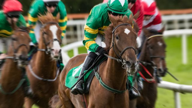 The 2024 Cheltenham Festival gets underway at Prestbury Park this Tuesday. Will Willie Mullins and the Irish be partying at Prestbury Park?