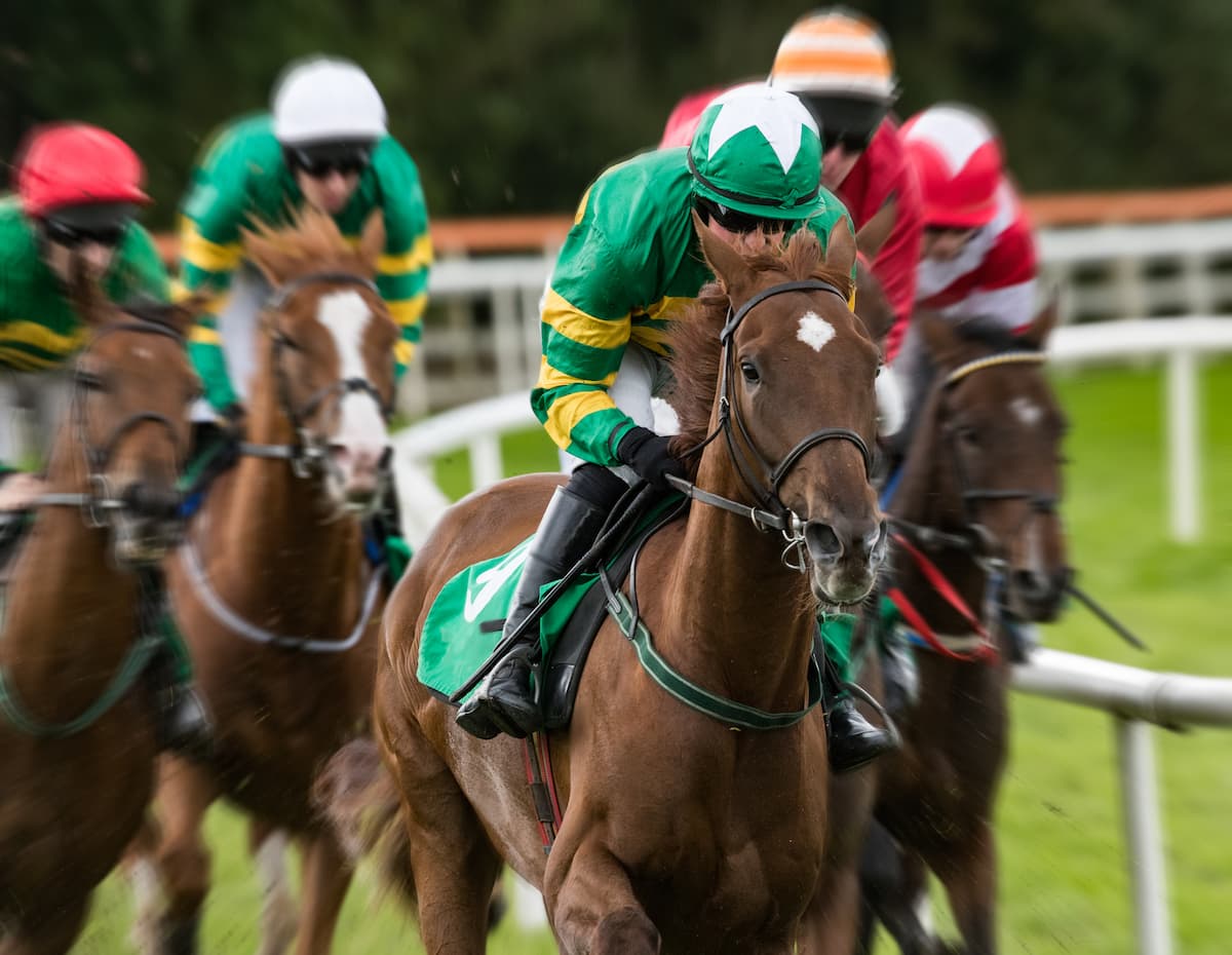 The 2024 Cheltenham Festival gets underway at Prestbury Park this Tuesday. Will Willie Mullins and the Irish be partying at Prestbury Park?