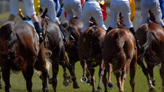 Aintree Festival: What to Expect on Ladies Day