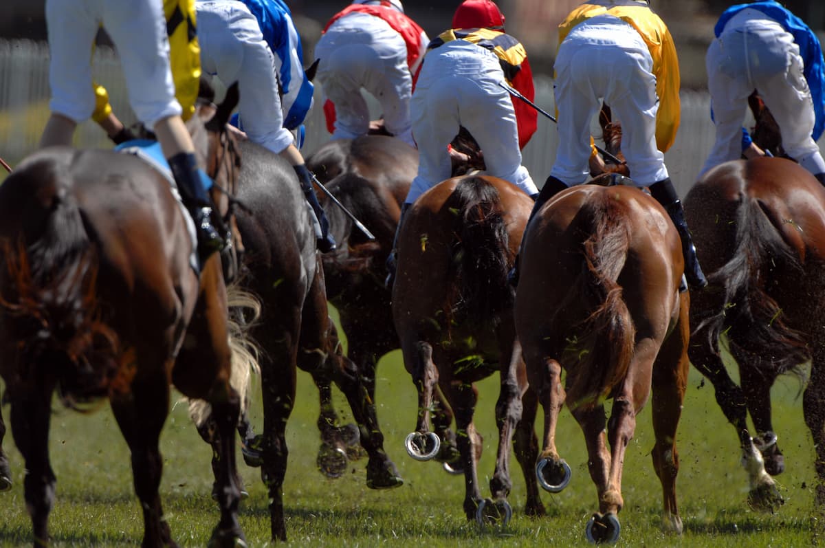 Aintree Festival: What to Expect on Ladies Day