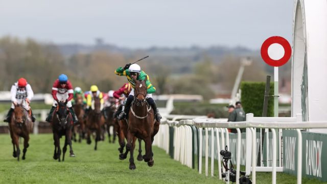 Horse Racing News and Updates