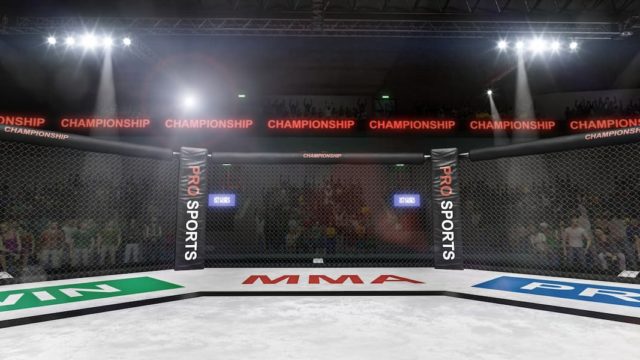 UFC 300: A Milestone Event in the History of MMA
