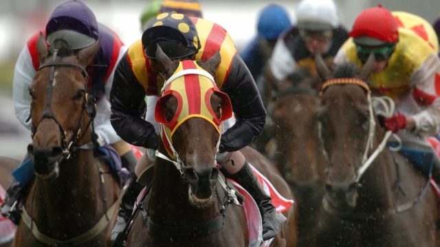 Chester Cup: The Prestigious Marathon Flat Contest