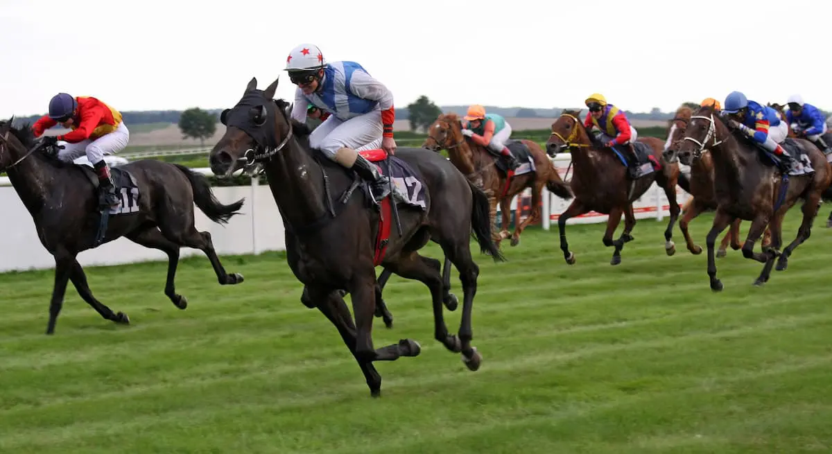 The Guineas Festival at Newmarket. Who'll win the 1000 & 2000 Guineas?