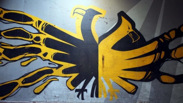 What on Earth is going on at Vitesse Arnhem?