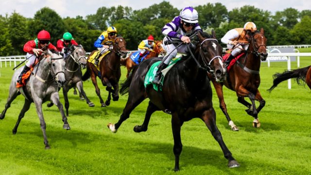 Windsor Races: A Double Delight for Horse Racing Fans