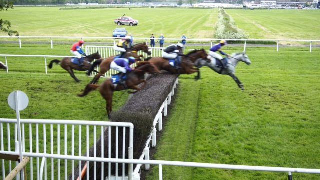 Jump Racing: Finding Hidden Gems for the 2024/2025 Season