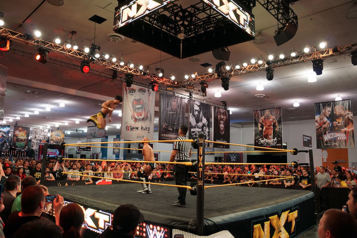 AEW: The Rise of an Alternative Wrestling Promotion