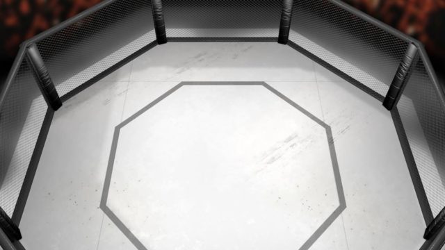 Paddy Pimblett Net Worth: The UFC Star's Financial Standing