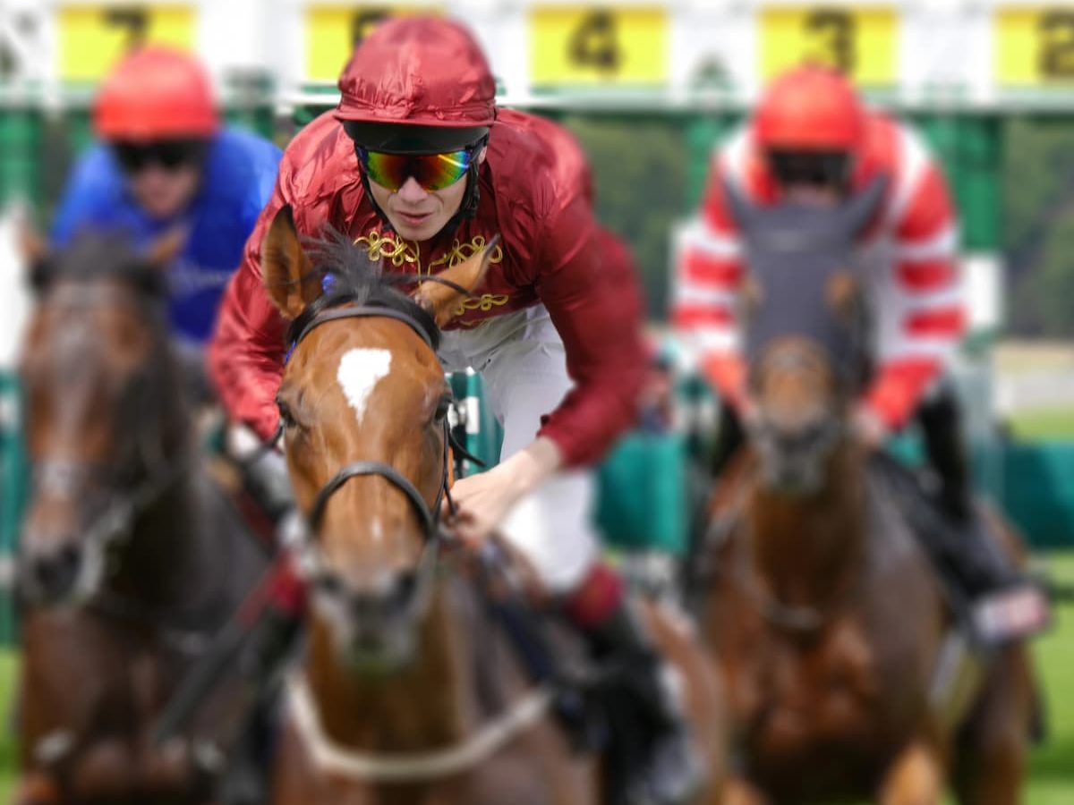 Royal Ascot Day 4 Preview - Will Aidan O'Brien Dominate Again?