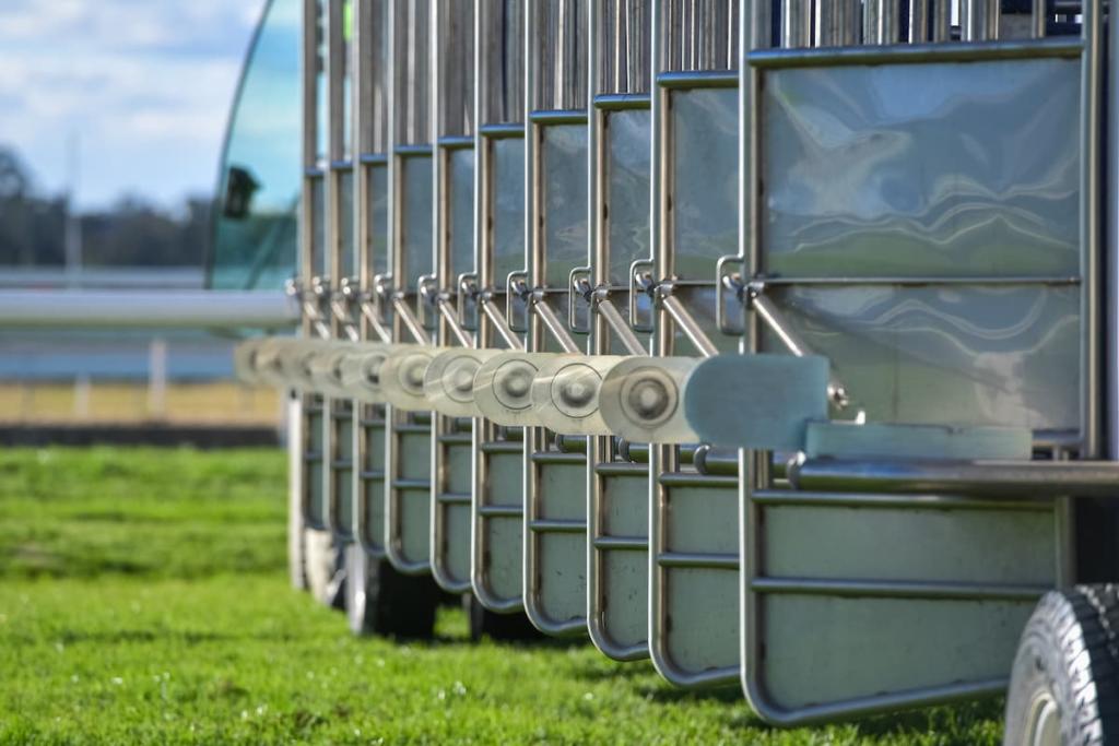 Templegate's Tips Today: Unlocking the Secrets of Horse Racing