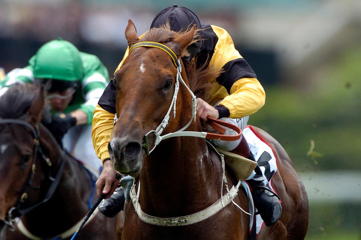 Windsor Races: Royal Ascot Festival and Summer Garden Party