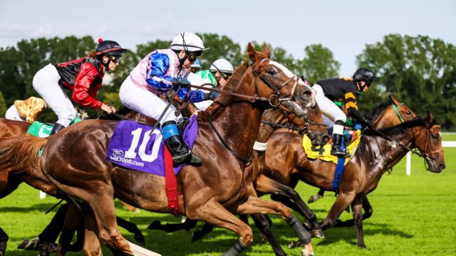 The Derby and Deira Mile: Windsor Races Recap