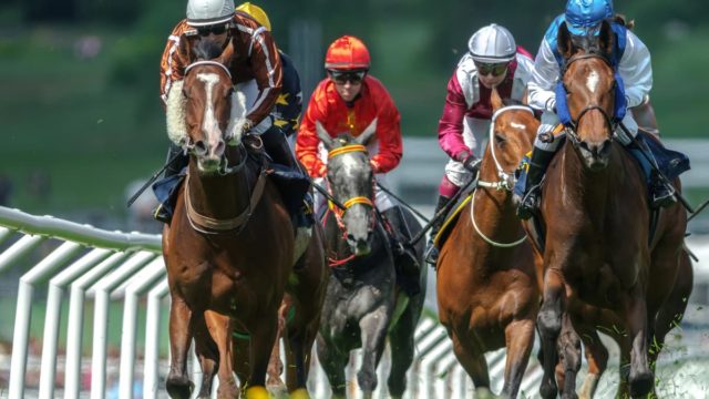 All The Latest Racing News From Windsor (July 22nd)