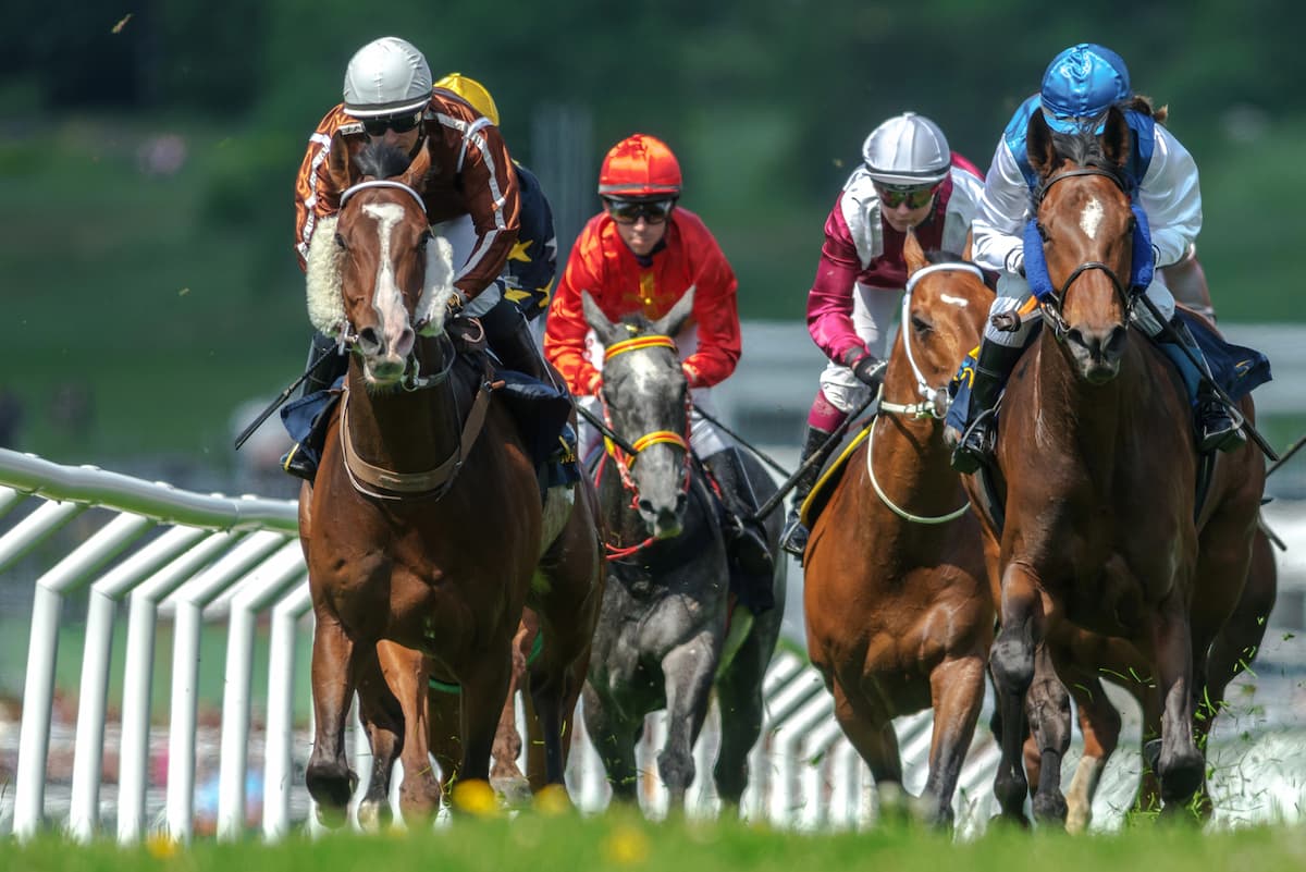 All The Latest Horse Racing News (July 22nd)