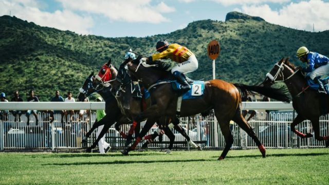 Today's Placepots: Your Gateway to Winning Opportunities!