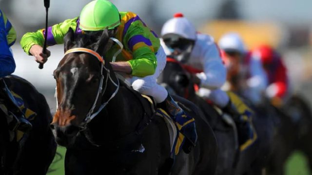 Previewing Monday's Race Meeting At Windsor Racecourse - July 15th 2024