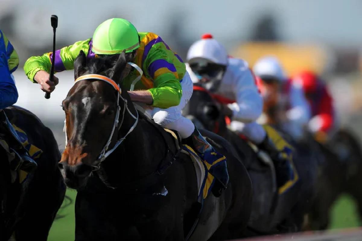 Check The Latest Windsor Races Preview