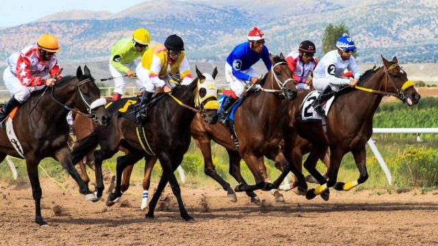 Tony Calvin Expert Tips: How to Bet Like a Champion