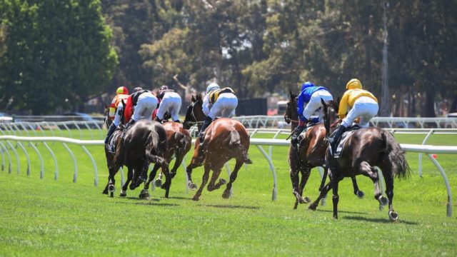 Hugh Taylor Tips: Your Ultimate Guide to Wins in 2024