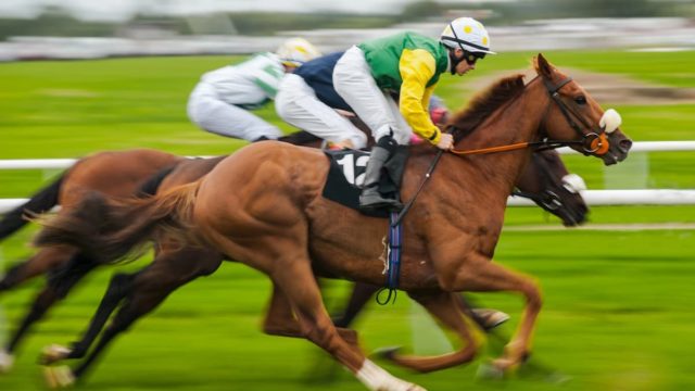 Matt Chapman Tips: Race to Victory | Smart Betting Secrets!