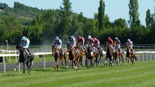 How Nicky Henderson Became a Wealthy Horse Racing Icon