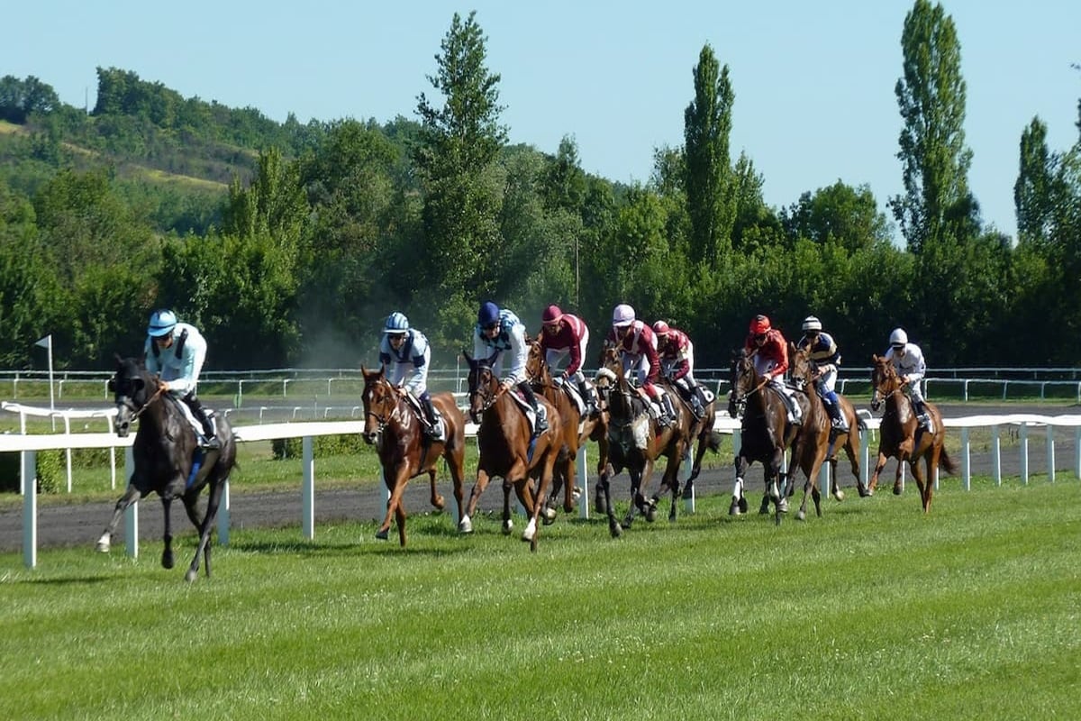 Cómo Nicky Henderson se convirtió en un rico ícono de las carreras de caballos