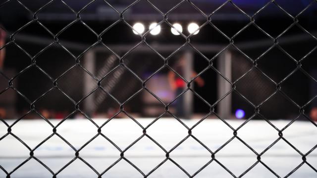 CGI vs ADCC, a David and Goliath story?