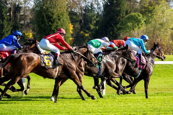 Windsor Racecourse - All The Latest Horse Racing News, Views and Tips