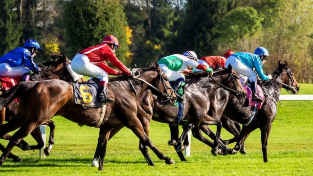 Cheltenham Festival: The Beginnings And Evolution