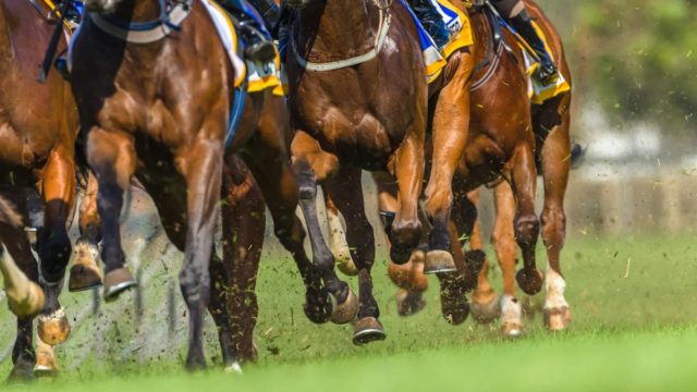 Latest From Windsor Racecourse - Early Starts All The Way