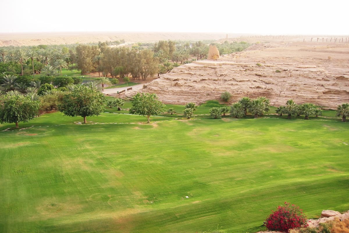 How a Foreign Investment Fund Transformed Professional Golf