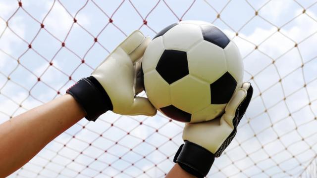 Manchester United and Spurs to Battle for Botafogo Goalkeeper in January