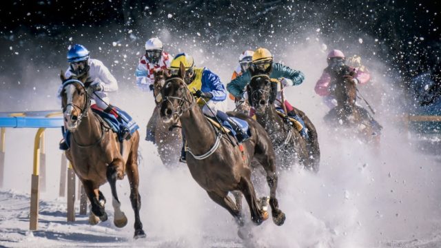 An Introduction To Horse Race Betting