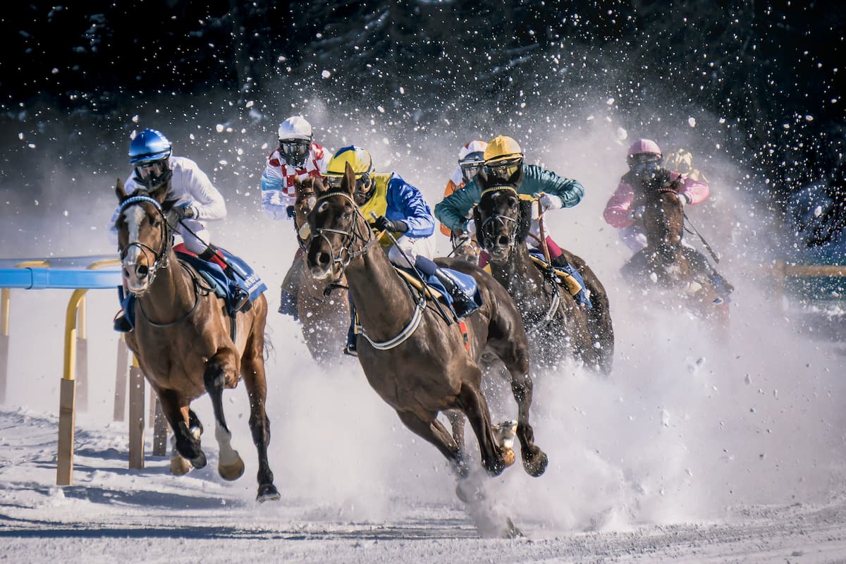 An Introduction To Horse Race Betting