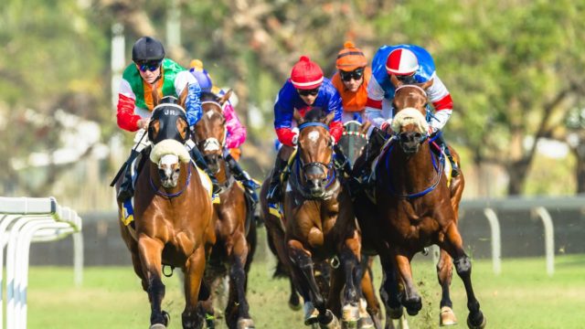 AP McCoy holding a trophy at a horse racing event Image suggestion: An image of AP McCoy celebrating a win in racing silks.
