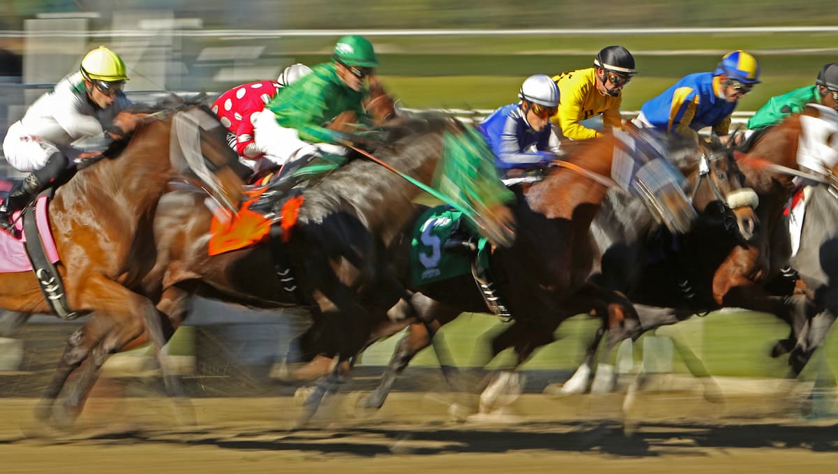 Talent That Could Dominate This Season