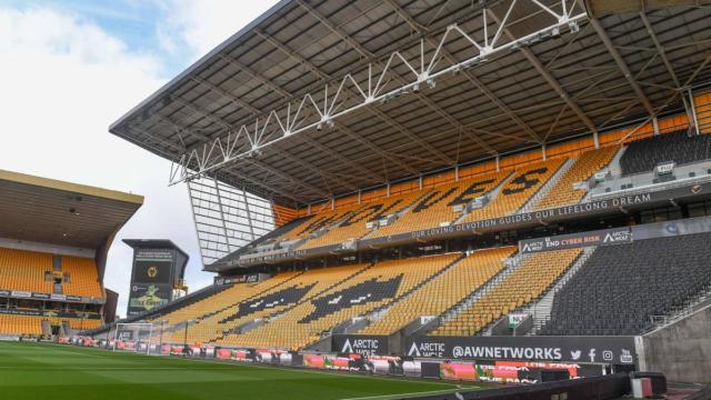 Wolves in the 1950s: The Glory Years That Changed Everything
