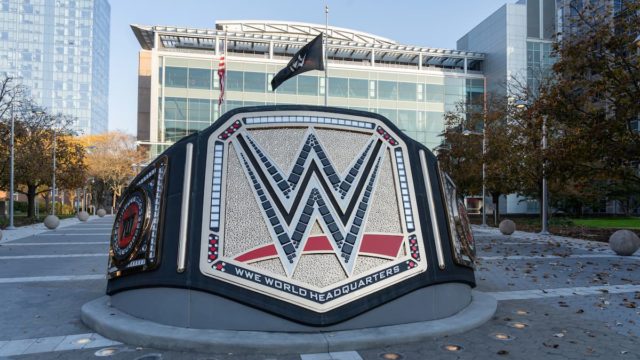 Ric Flair celebrating in the wrestling ring with iconic robe